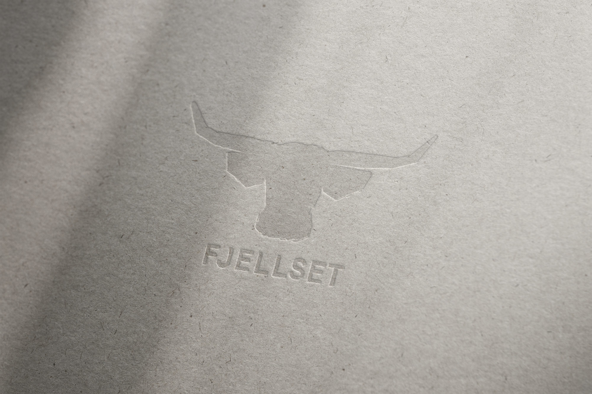 Logo mockup Fjellset